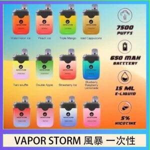 Vapor Storm風暴電子煙7500口(5%)一次性